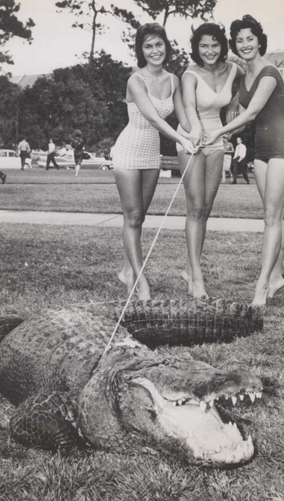 An old photograph of three women and an alligator.